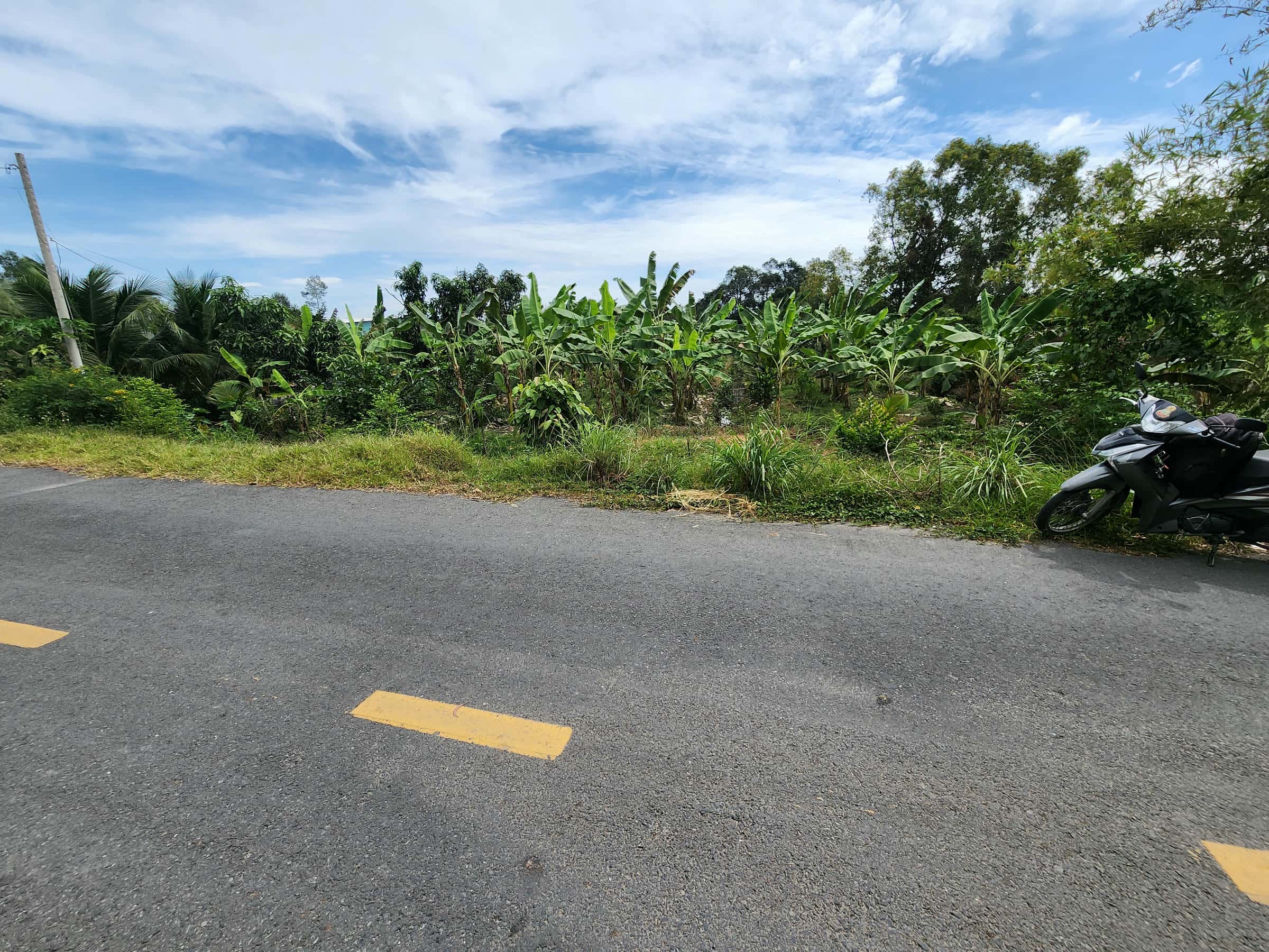 CC198 Đất sông Sài Gòn làm nhà vườn Củ Chi 2.500m2 mặt tiền đường Trung An